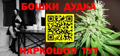 крисы Свободный