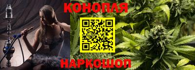 крисы Свободный