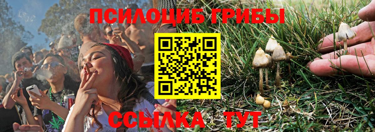Псилоцибиновые грибы прущие грибы Ржев